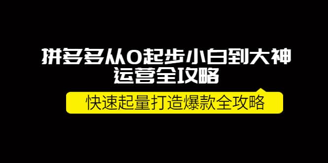 拼多多从0起步小白到大神运营全攻略-梓川副业网-中创网、冒泡论坛优质付费教程和副业创业项目大全
