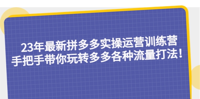 23年最新拼多多实操运营训练营：手把手带你玩转多多各种流量打法-梓川副业网-中创网、冒泡论坛优质付费教程和副业创业项目大全