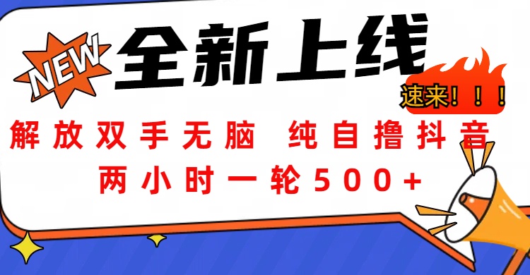 解放双手无脑 纯自撸抖音 两小时一轮500+-梓川副业网-中创网、冒泡论坛优质付费教程和副业创业项目大全