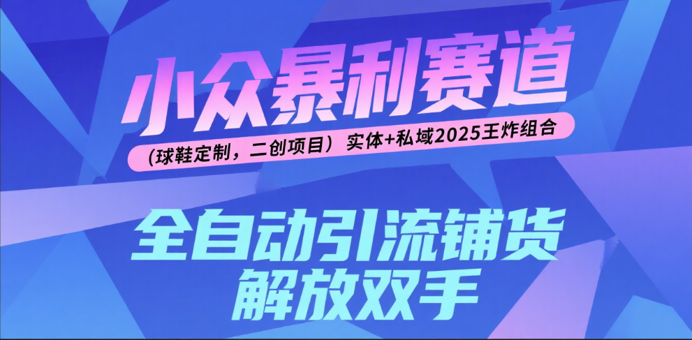 楠—小众暴利赛道（球鞋定制，二创项目）实体+私域2025王炸组合-梓川副业网-中创网、冒泡论坛优质付费教程和副业创业项目大全